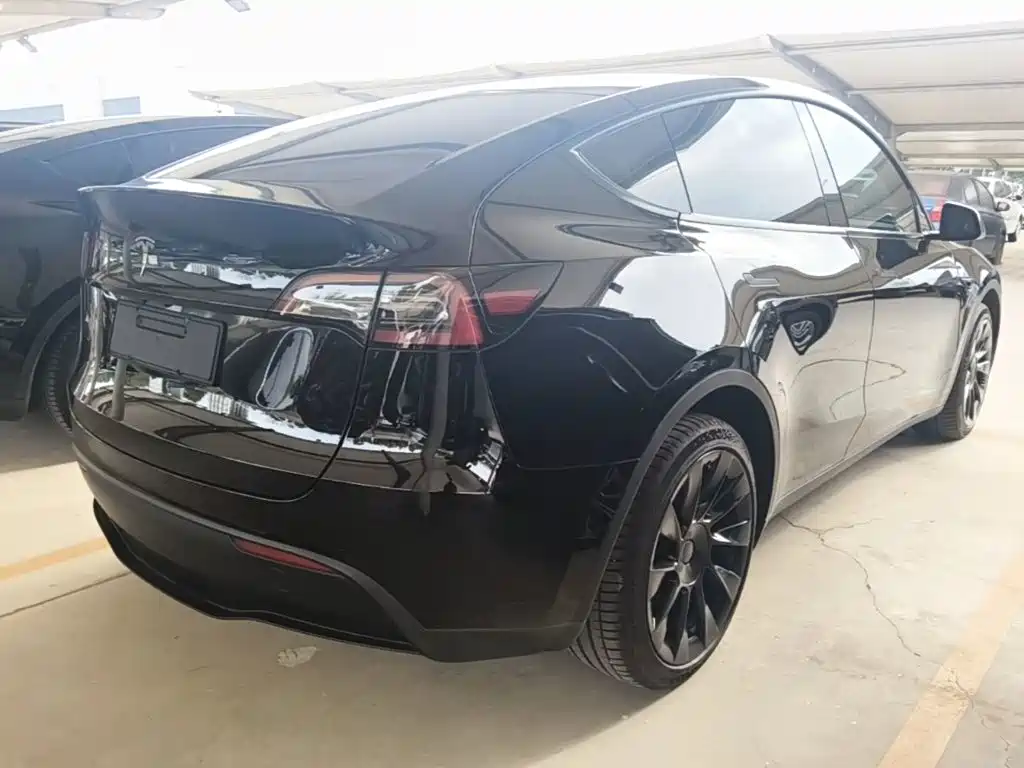 Tesla Model Y — миниатюра 7