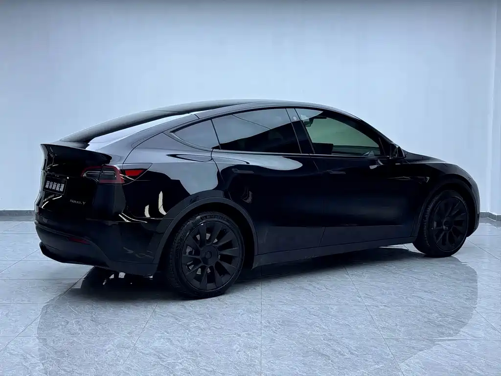Tesla Model Y — миниатюра 16