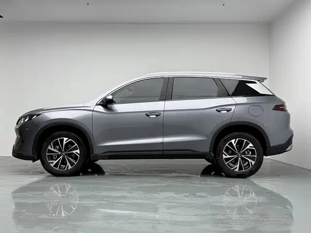 BYD Pro New Energy — миниатюра 7