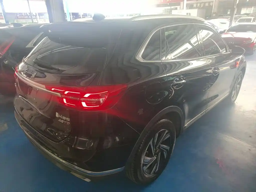 Hongqi Hongqi HS5 — миниатюра 7