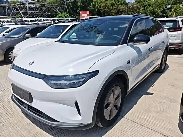 2021 Leapmotor C11
