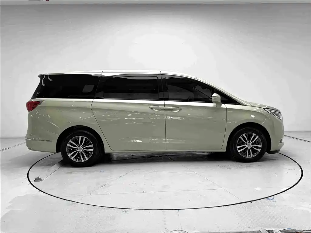 Buick GL8 — миниатюра 17