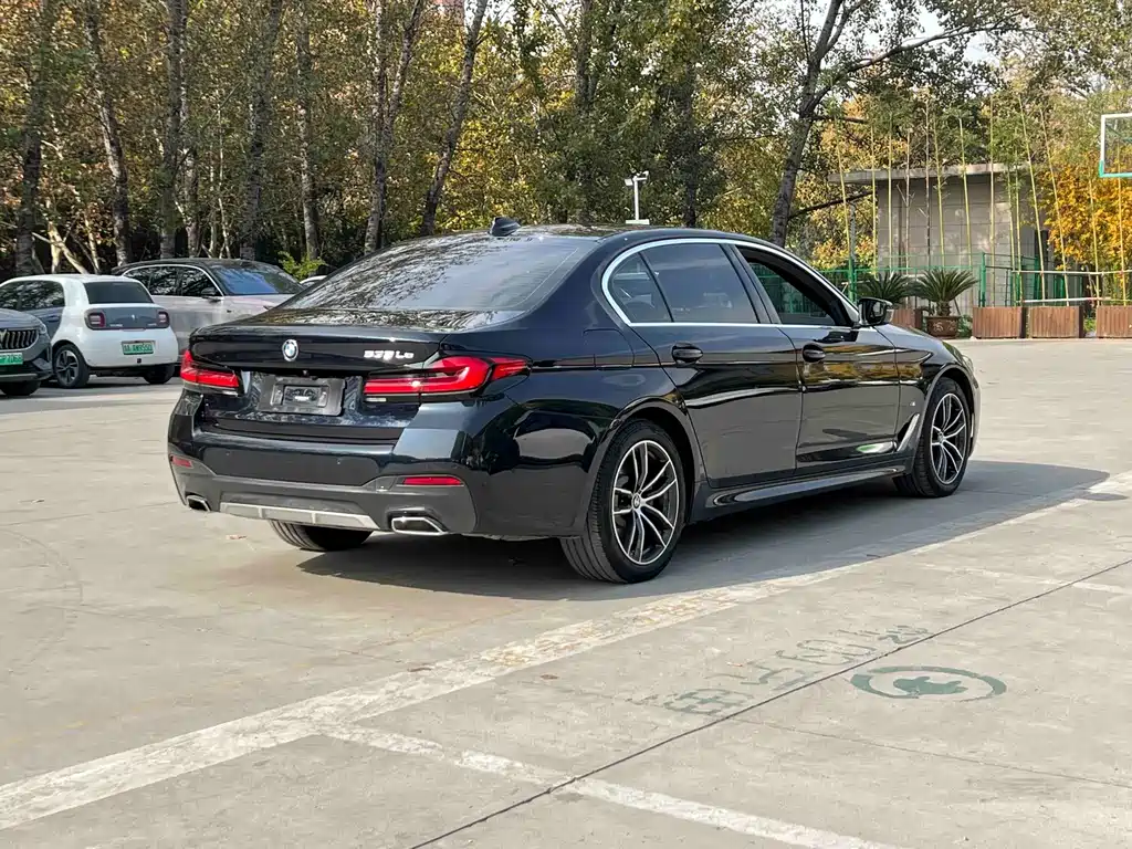 BMW 5 Series New Energy — миниатюра 4