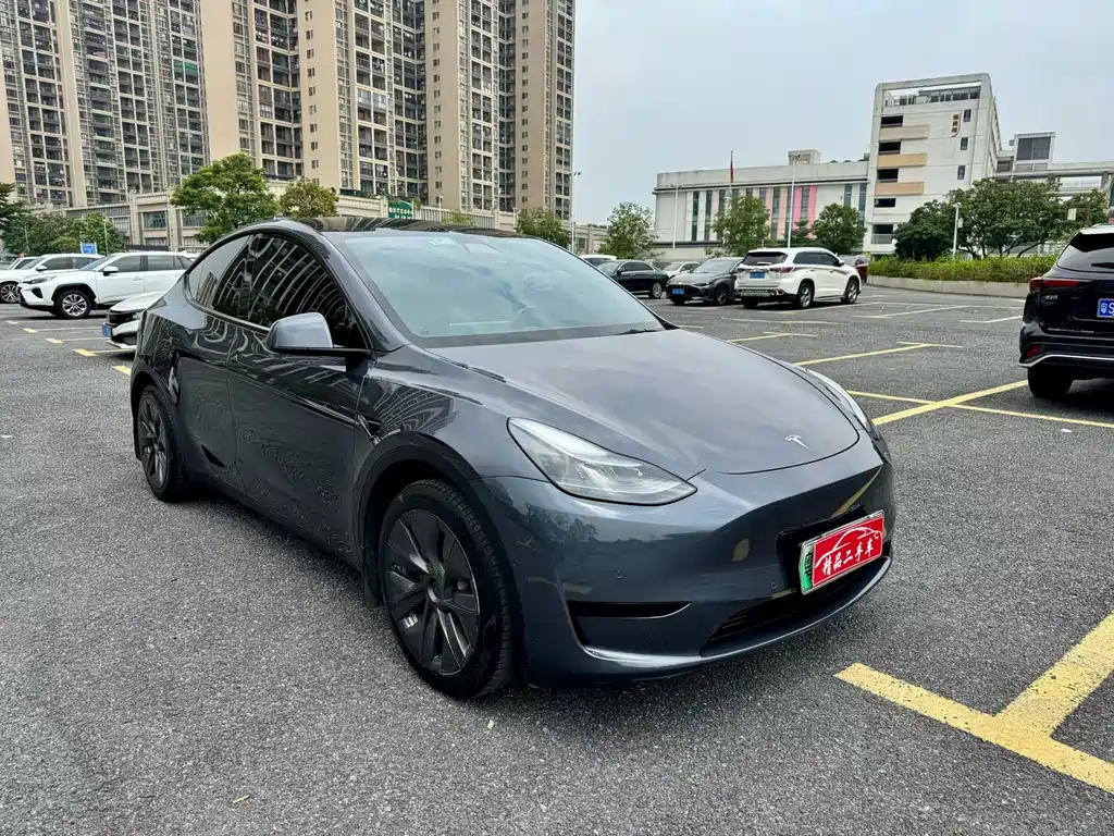 Tesla Model Y — миниатюра 3