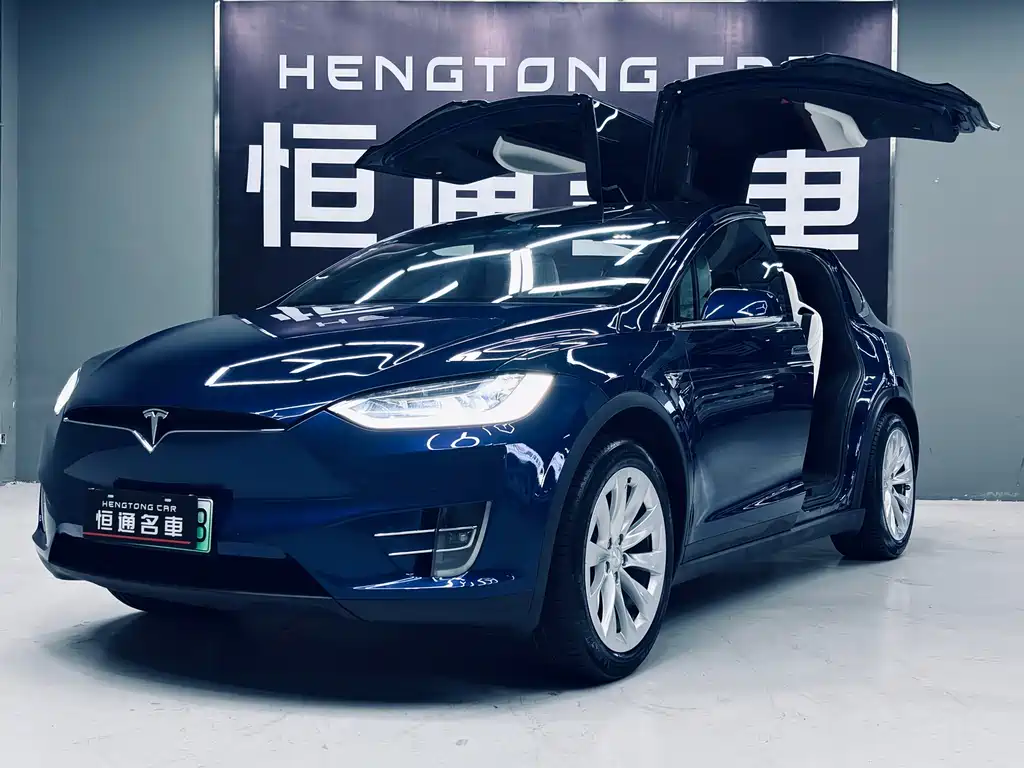 Tesla Model X 2019