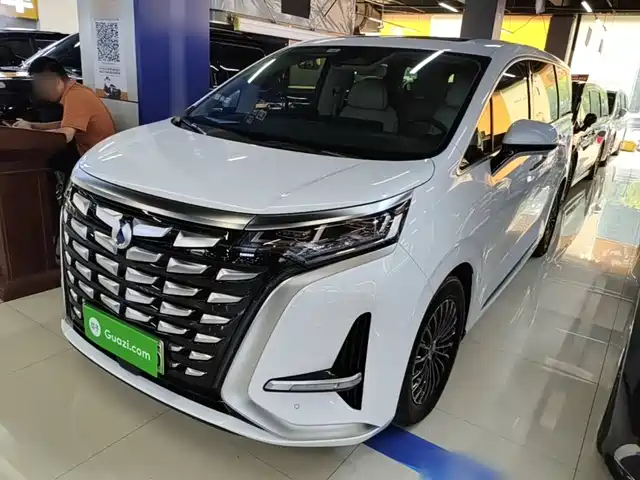2024 Denza D9