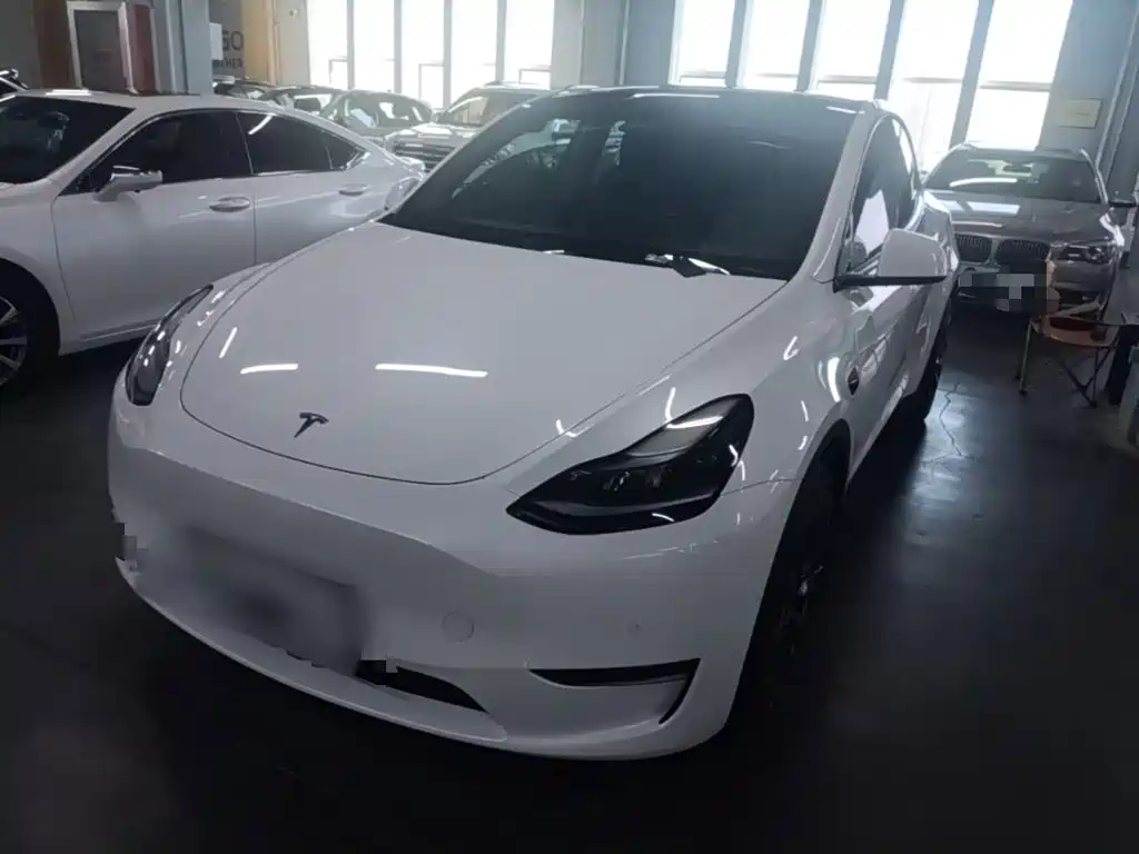 Tesla Model Y — миниатюра 2