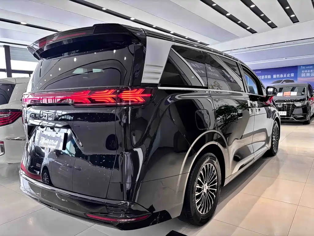 Denza Denza D9 — миниатюра 5