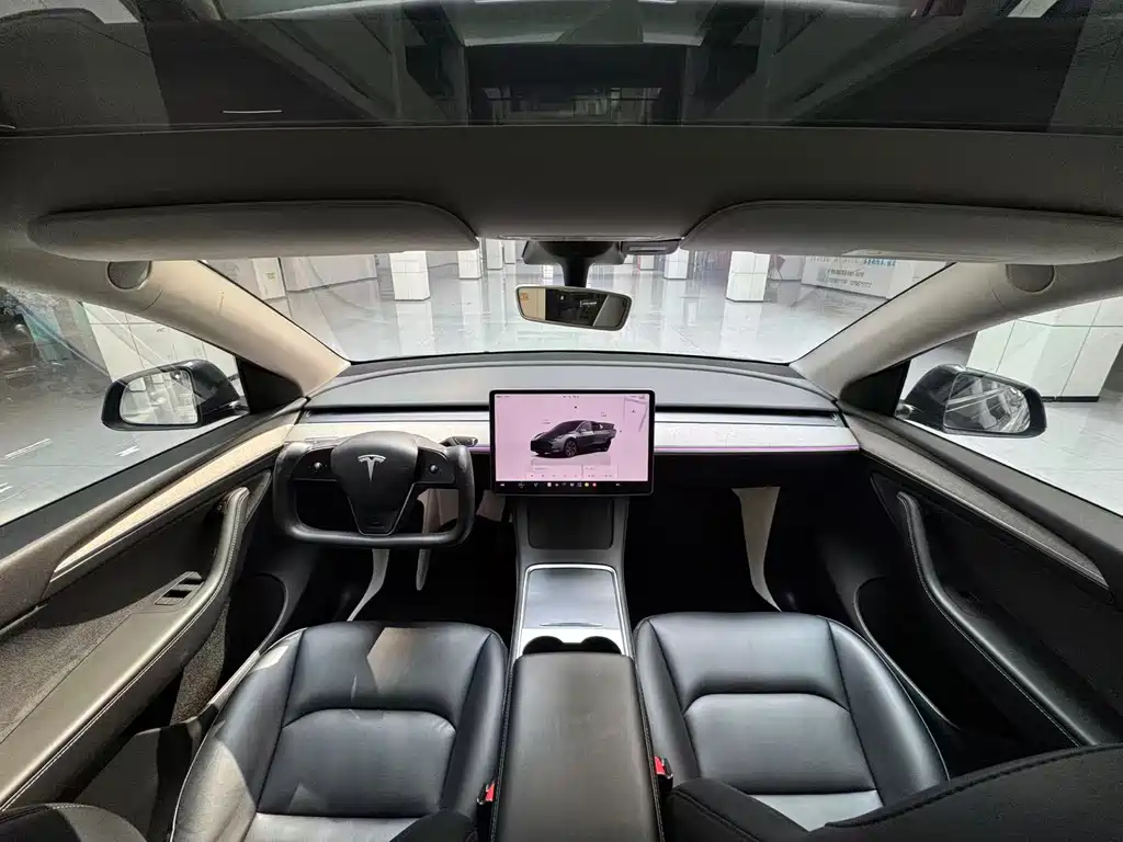 Tesla Model Y — миниатюра 15