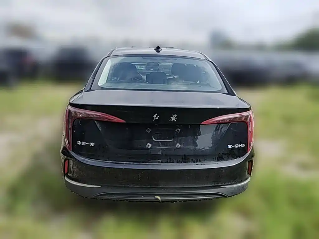Hongqi Hongqi E-QM5 — миниатюра 8