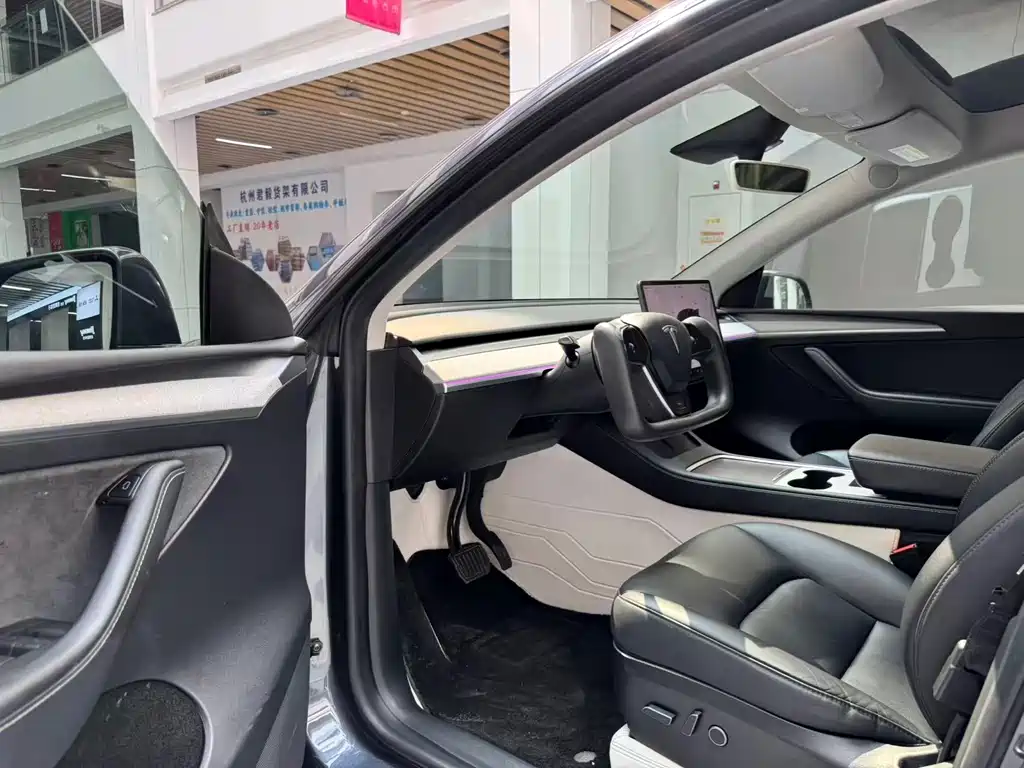 Tesla Model Y — миниатюра 9