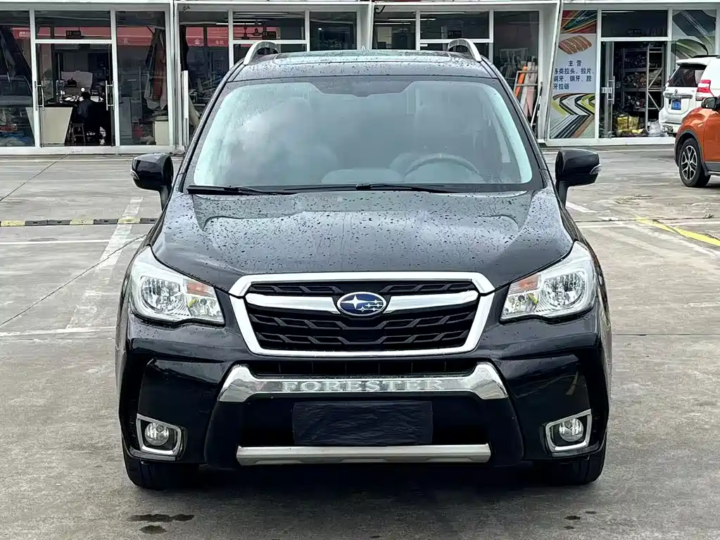 Subaru Forester — миниатюра 13