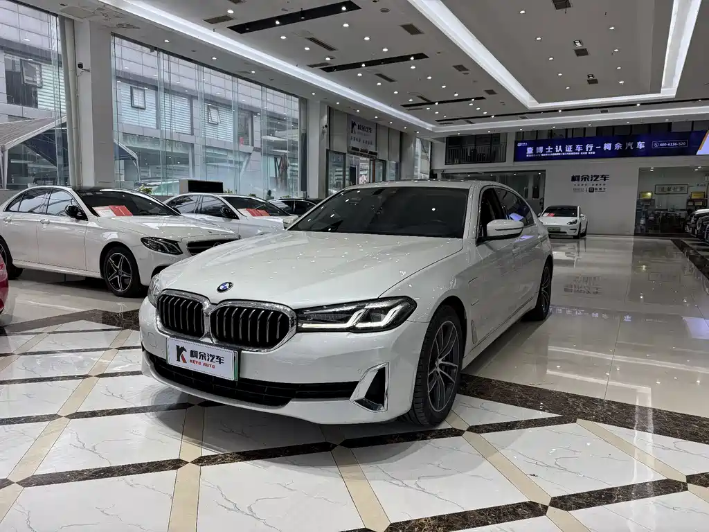 BMW 5 Series New Energy 2020