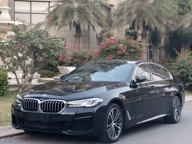BMW 5 SERIES