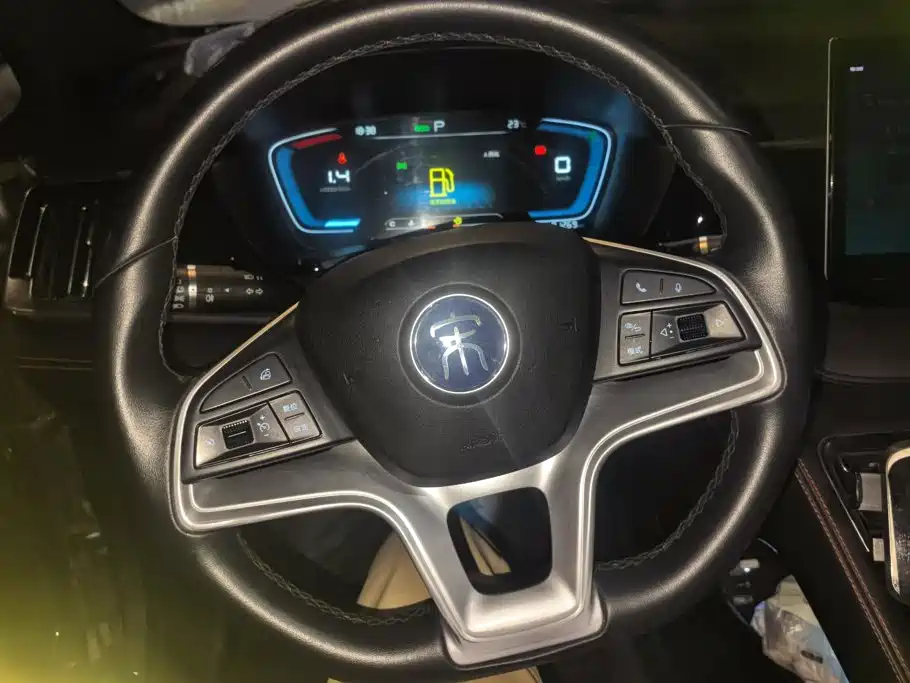 BYD PLUS — миниатюра 15
