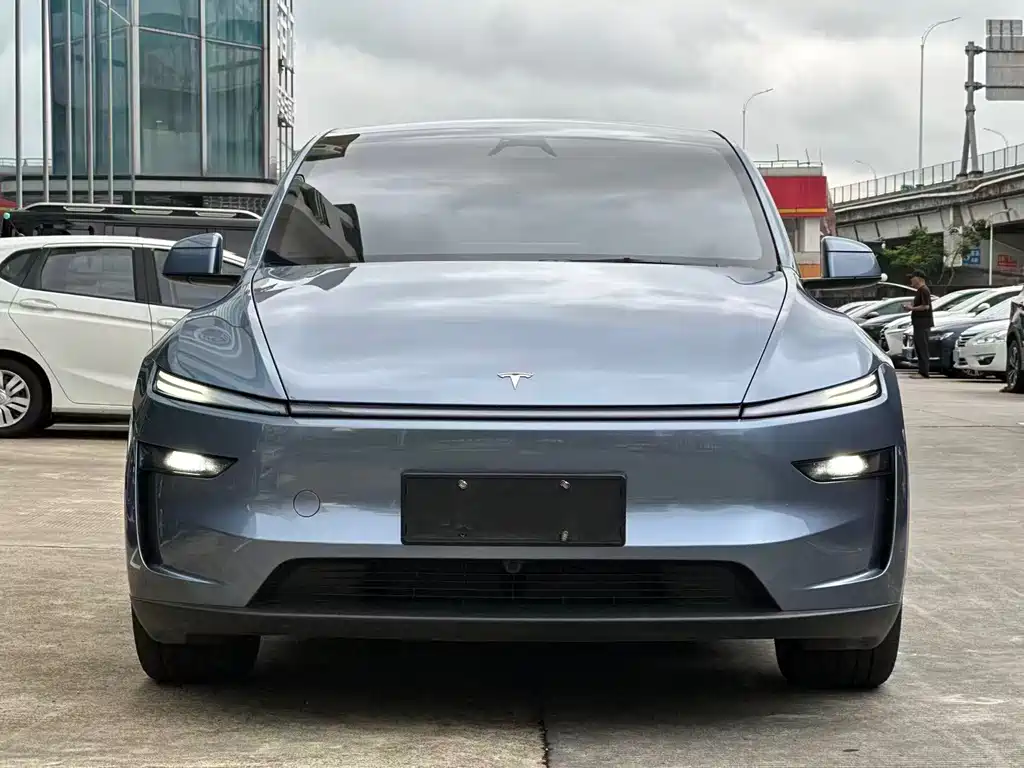 Tesla Model Y — миниатюра 2