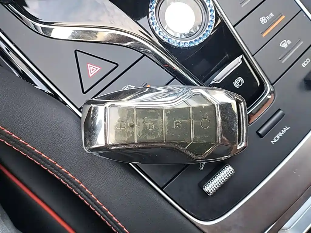 BYD PLUS — миниатюра 9