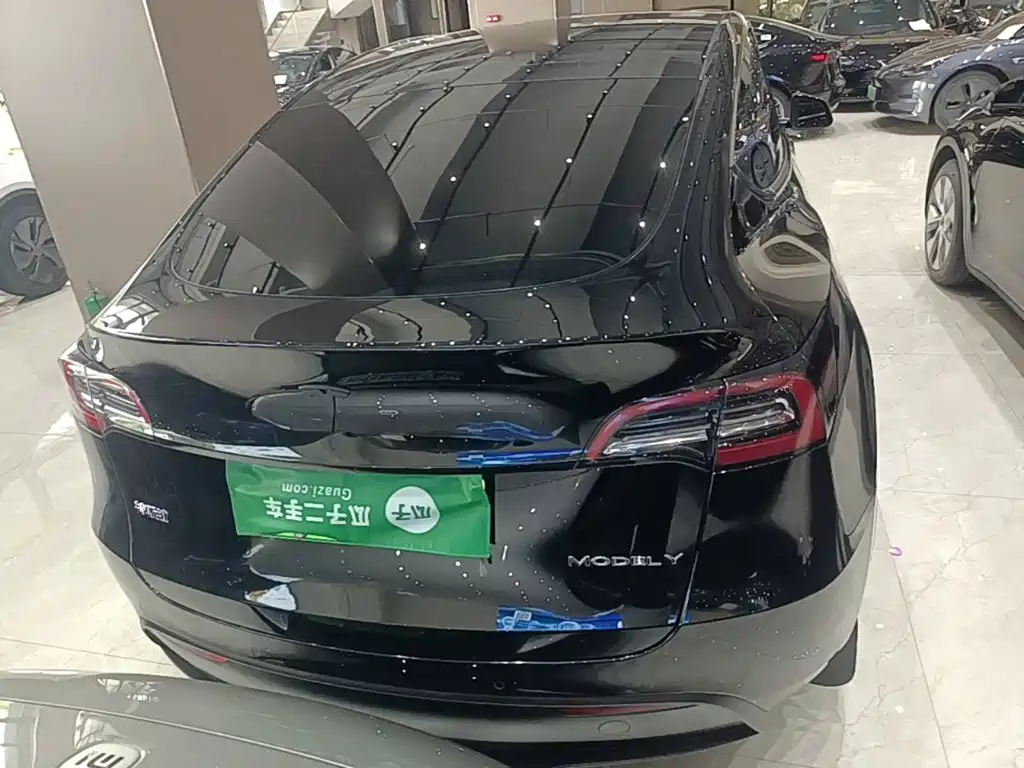 Tesla Model Y — миниатюра 6
