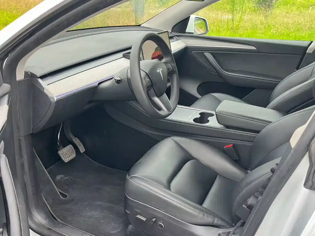 Tesla Model Y — миниатюра 4