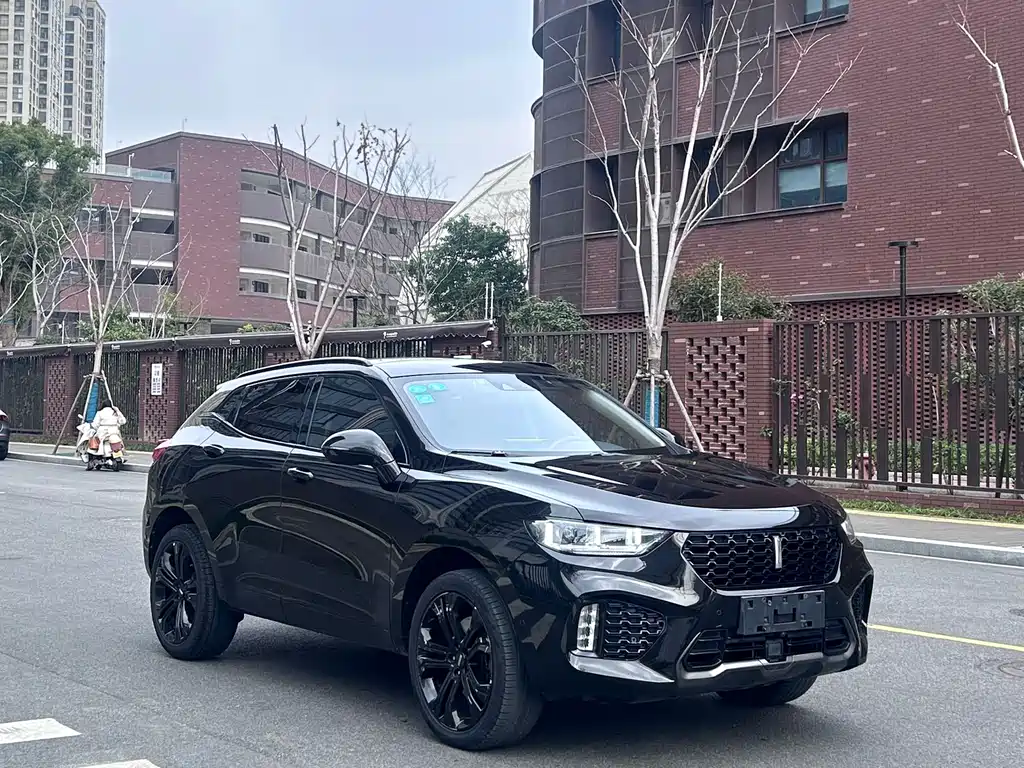 WEI PAI WEI BRAND VV5