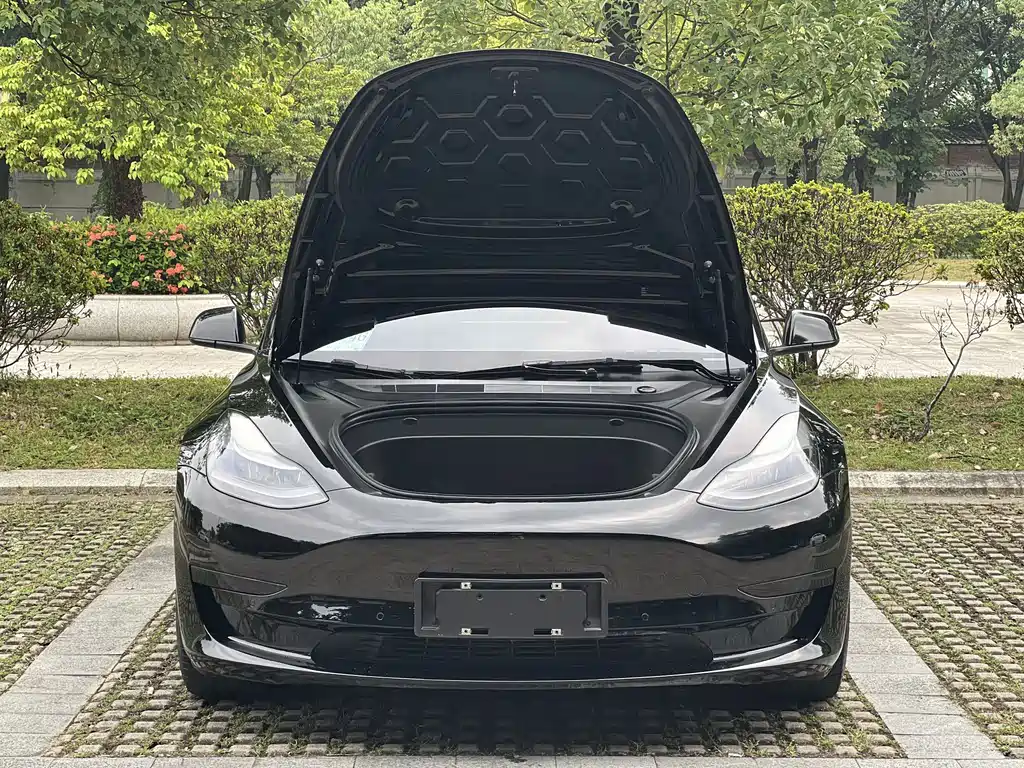 Tesla Model 3 — миниатюра 18