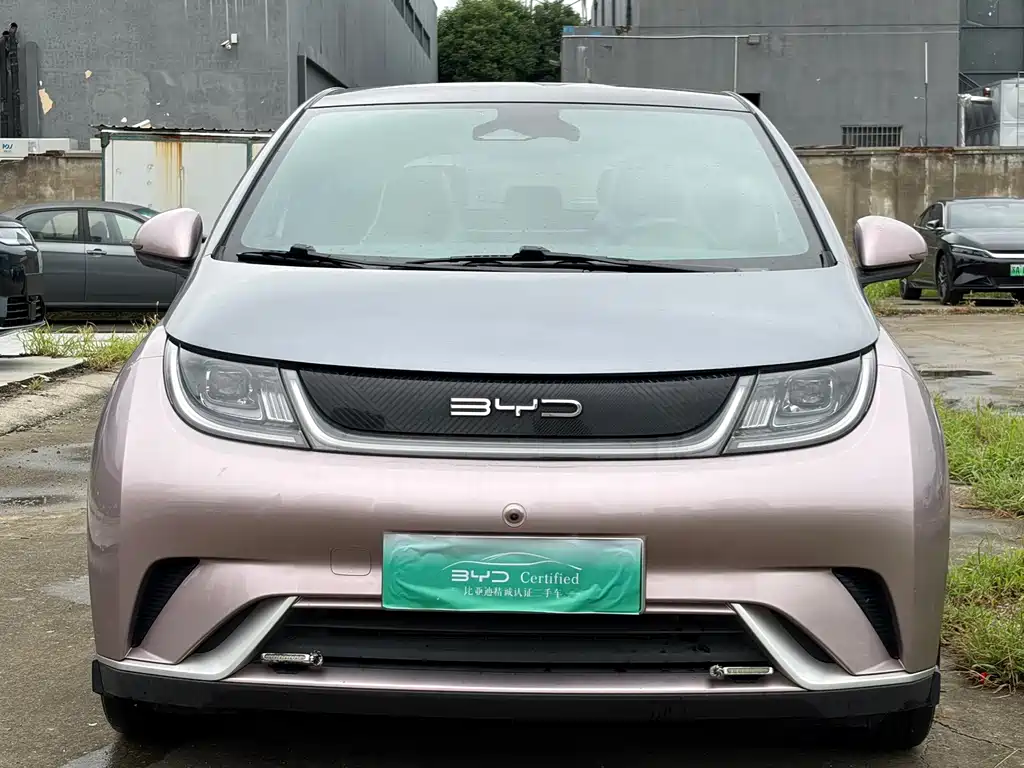 BYD Dolphin — миниатюра 2