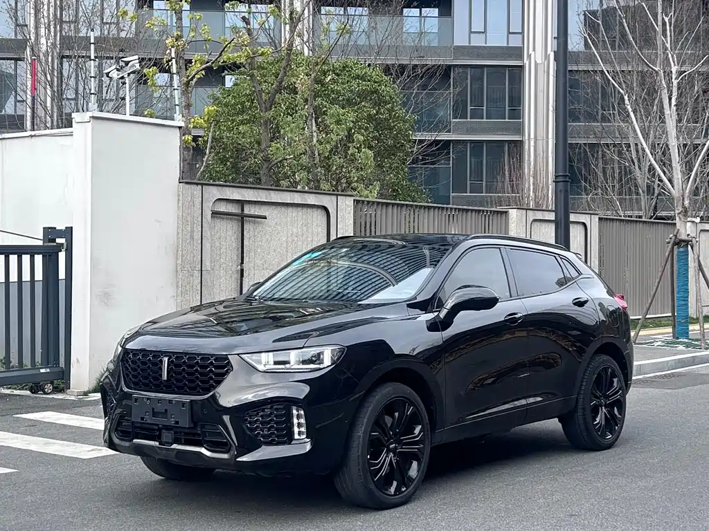 WEI PAI WEI BRAND VV5