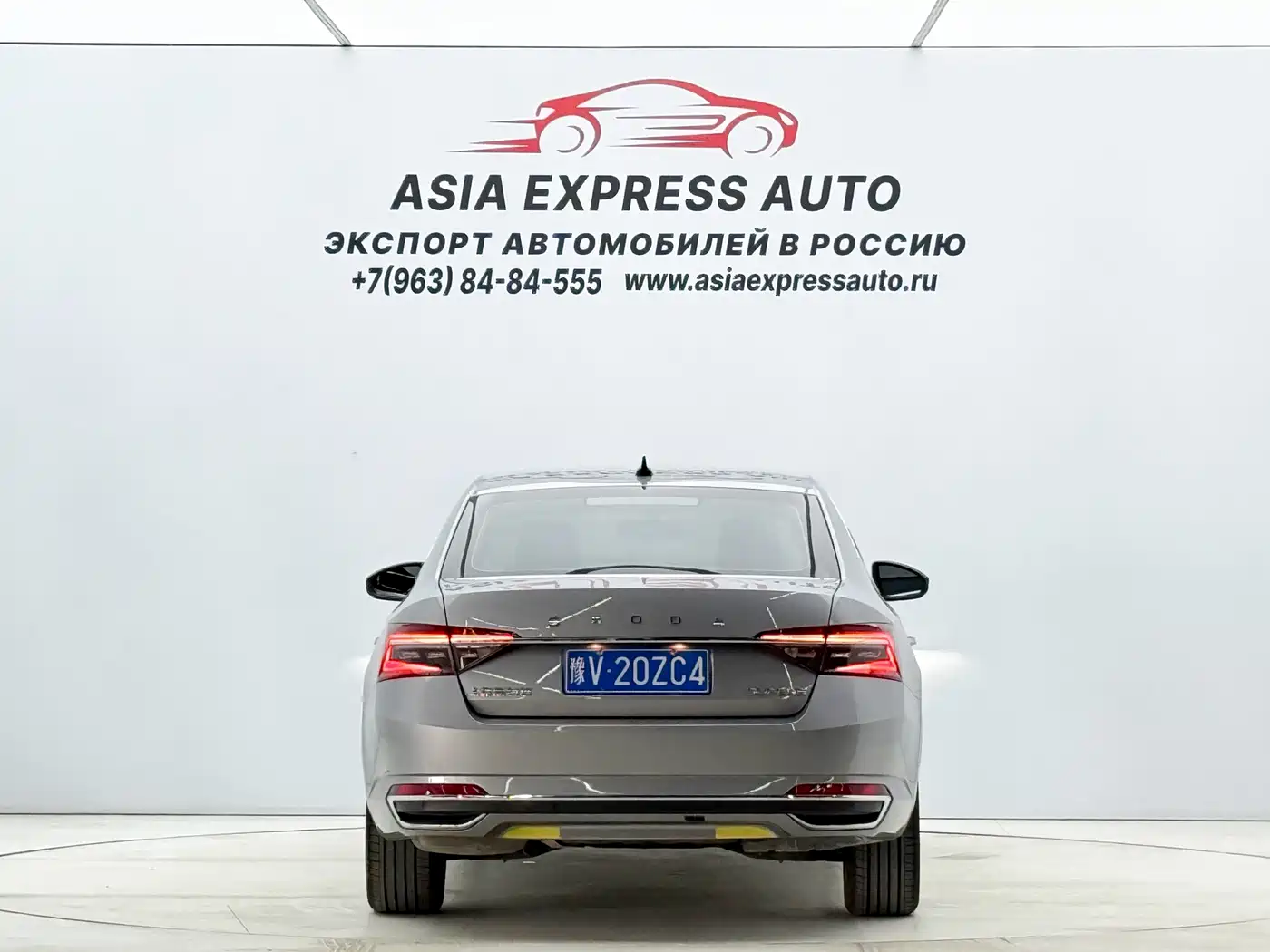 Skoda Speed pie 2023 Silver/gray из Китая, фото 6