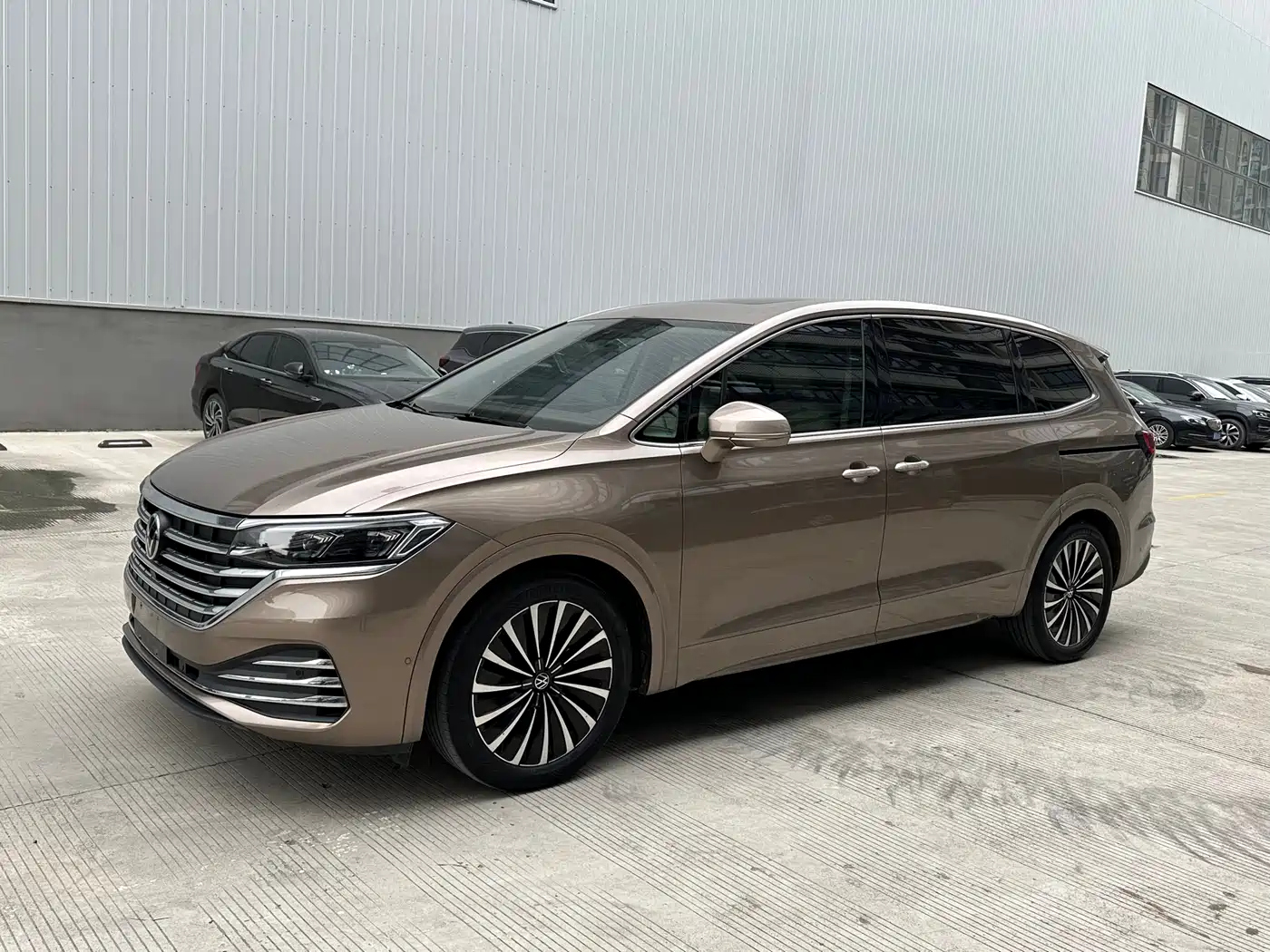 Volkswagen Viloran