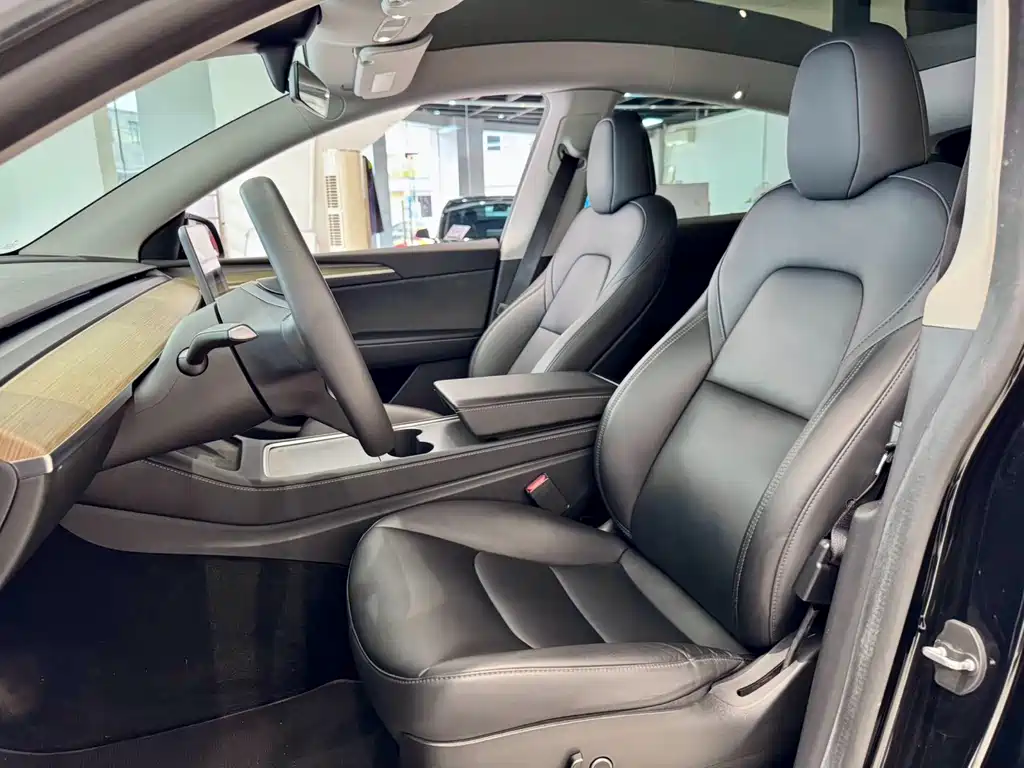 Tesla Model Y — миниатюра 6
