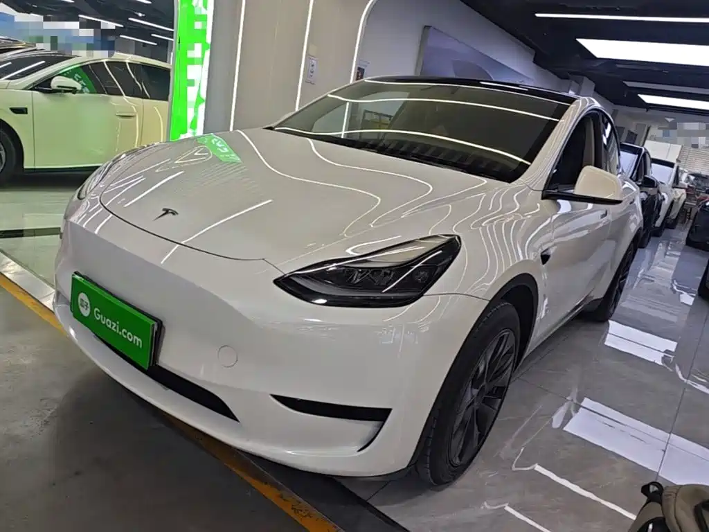 Tesla Model Y — миниатюра 2