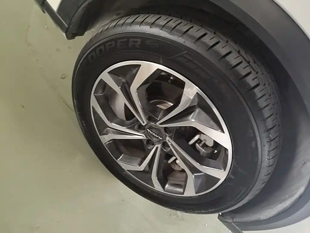 Haval Xiaolong MAX — миниатюра 12