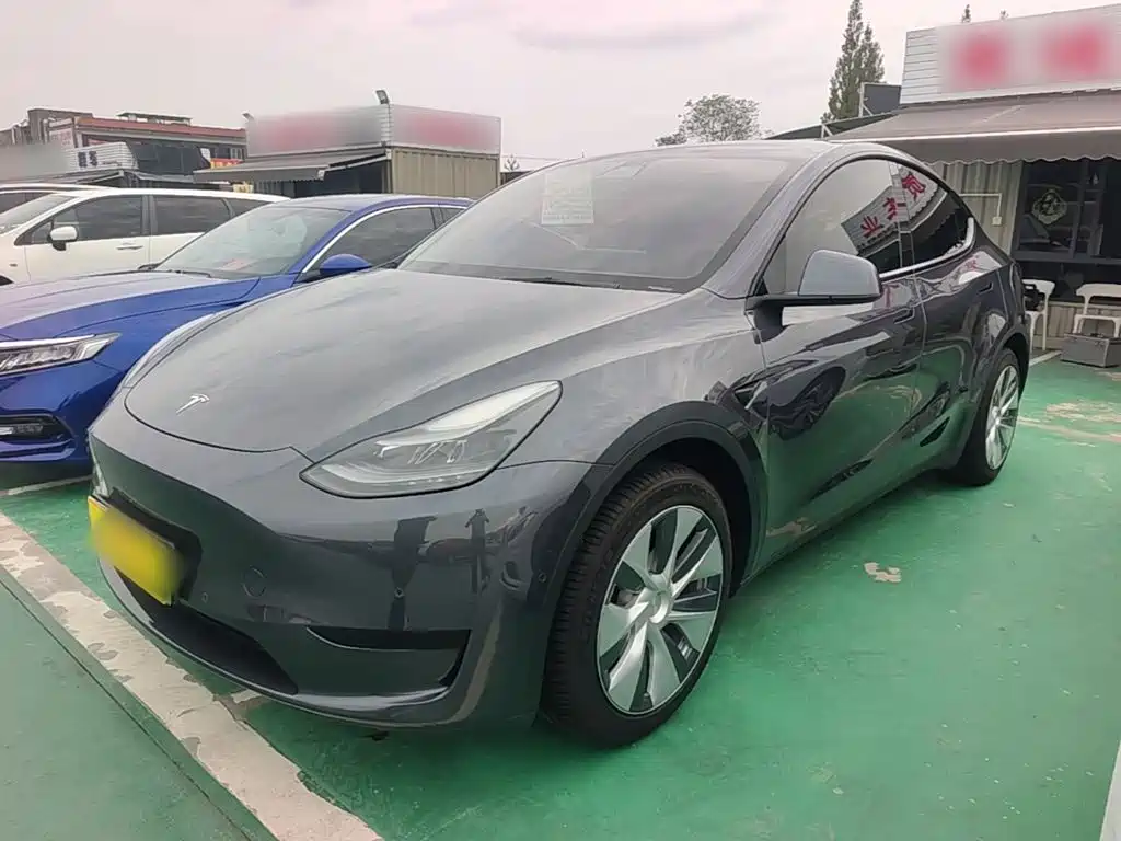Tesla Model Y — миниатюра 2