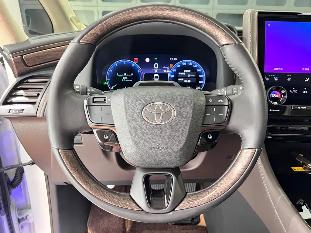 Toyota Alphard — миниатюра 23