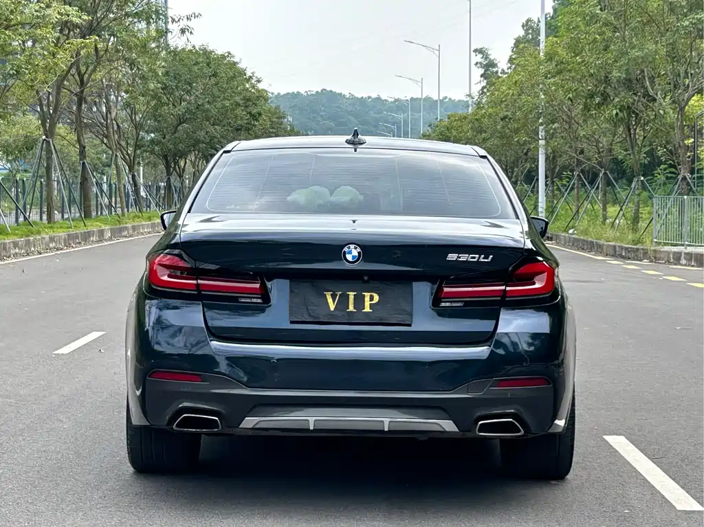 BMW 5 Series — миниатюра 8