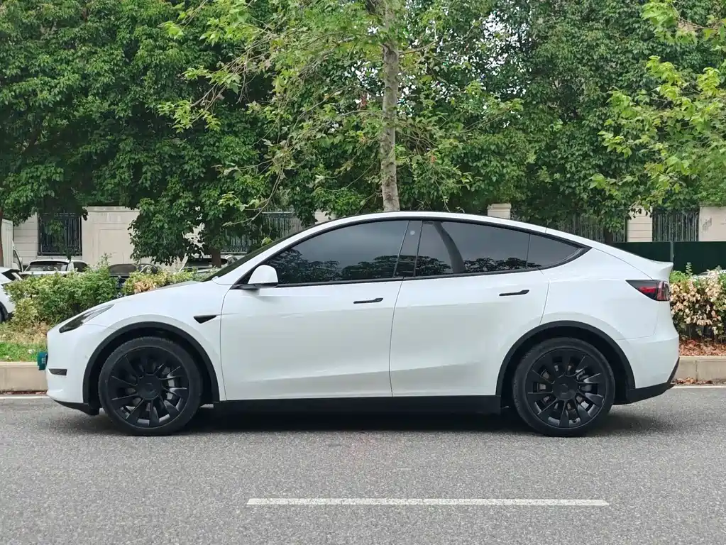 Tesla Model Y — миниатюра 4