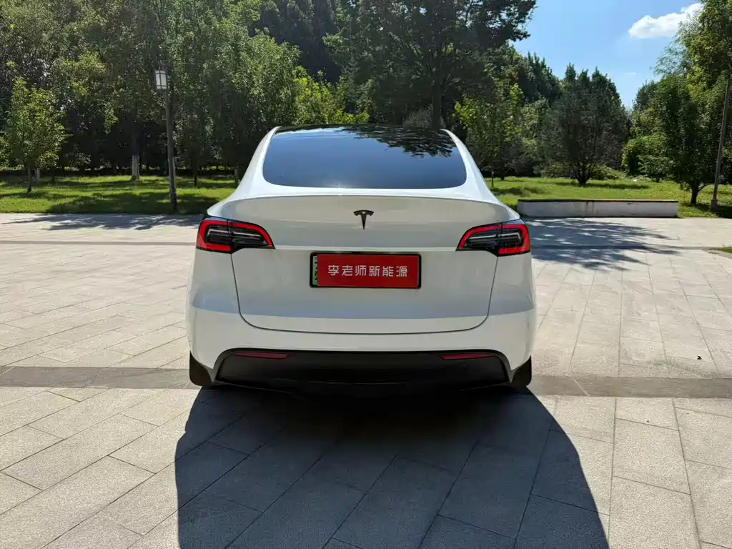 Tesla Model Y — миниатюра 7
