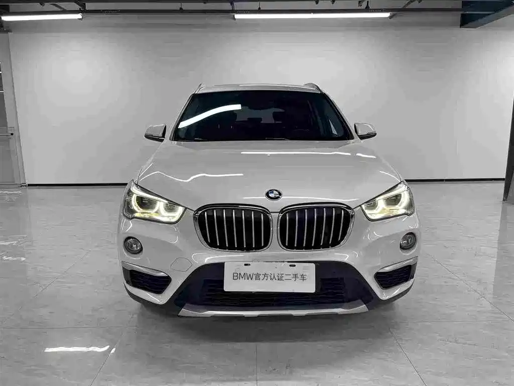 BMW X1 — миниатюра 2