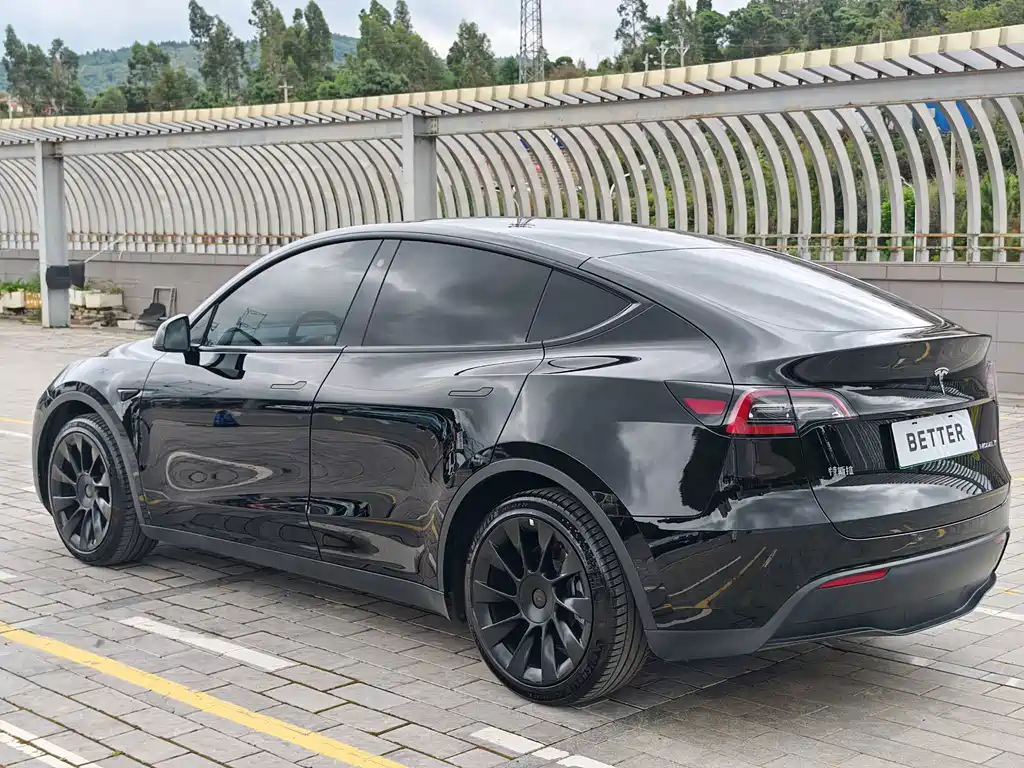 Tesla Model Y — миниатюра 18