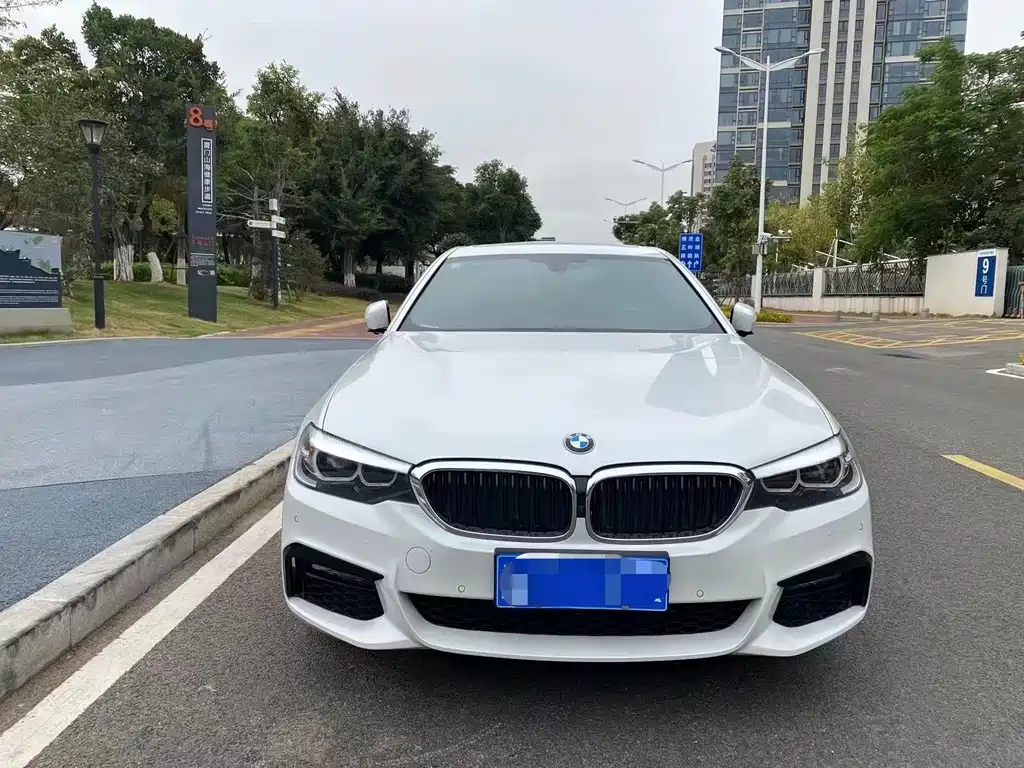 BMW 5 Series — миниатюра 2
