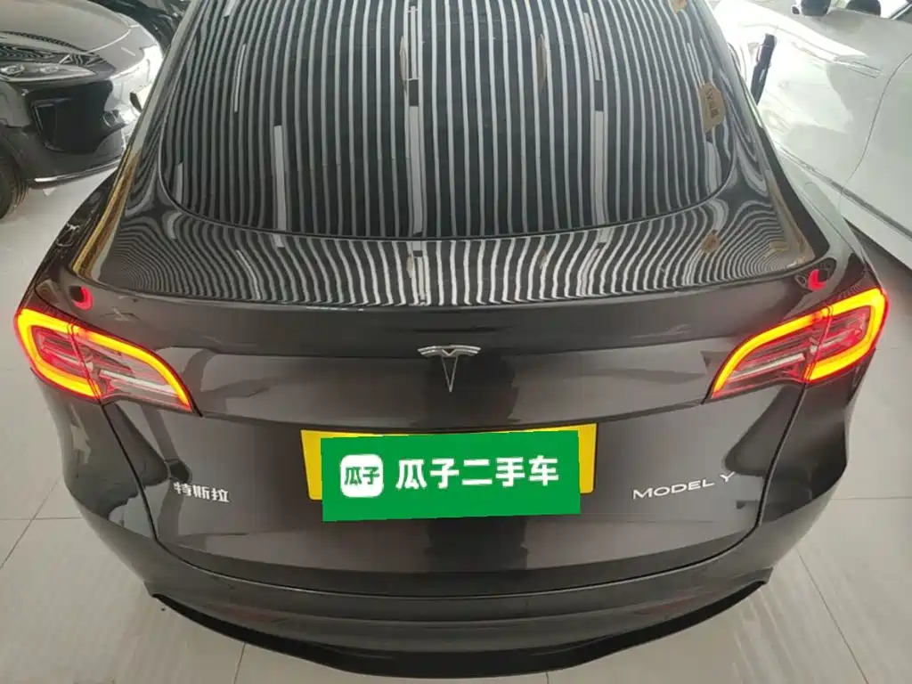 Tesla Model Y — миниатюра 6