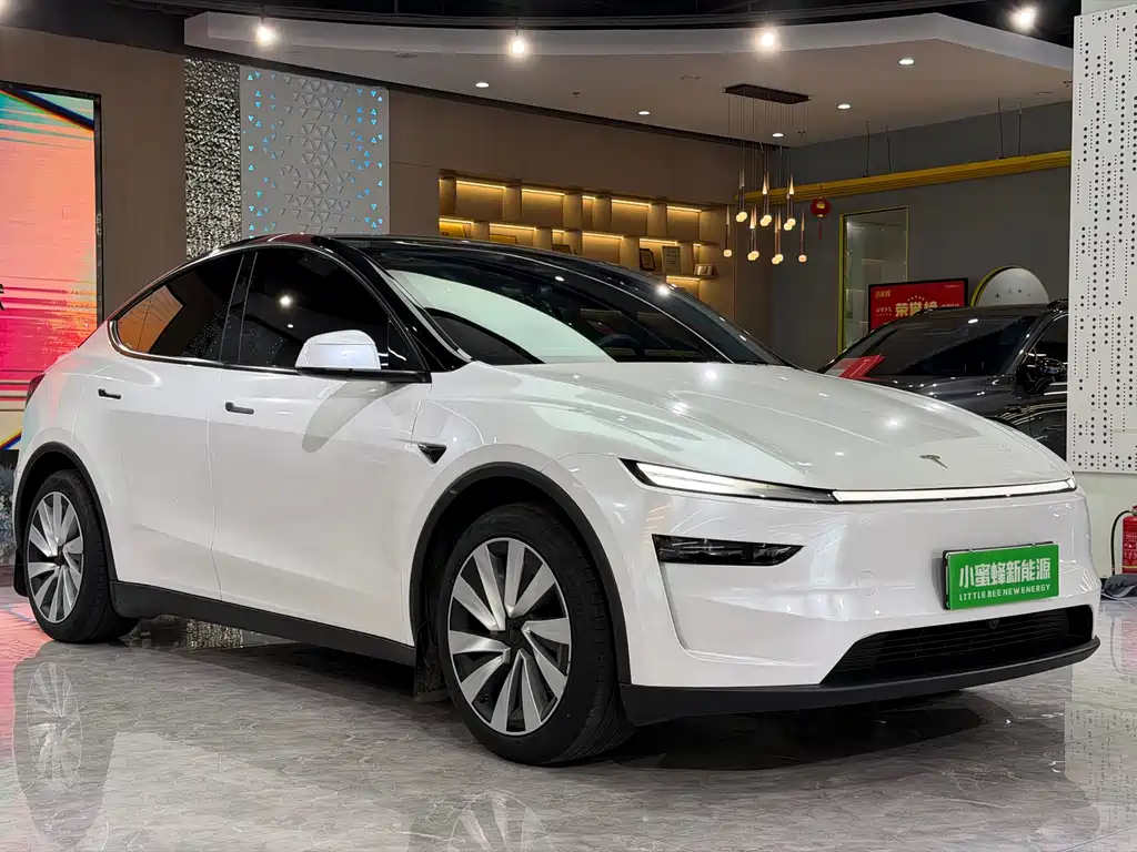 Tesla Model Y — миниатюра 3