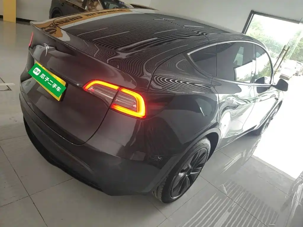 Tesla Model Y — миниатюра 7