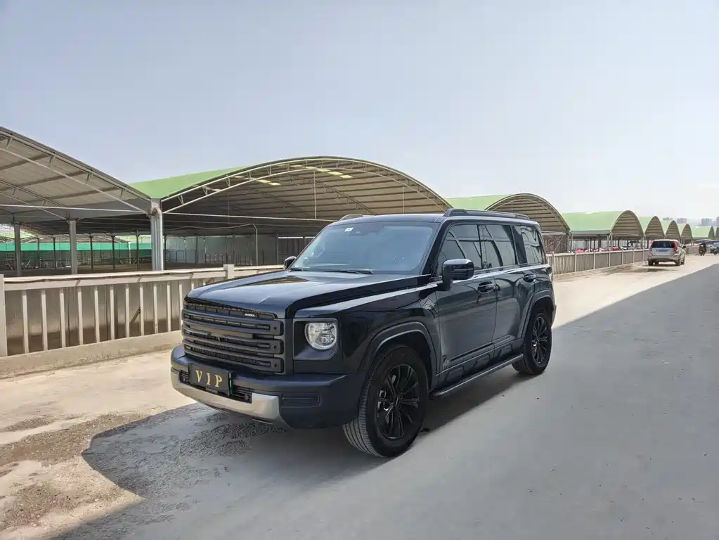 Haval Menglong New Energy 2024