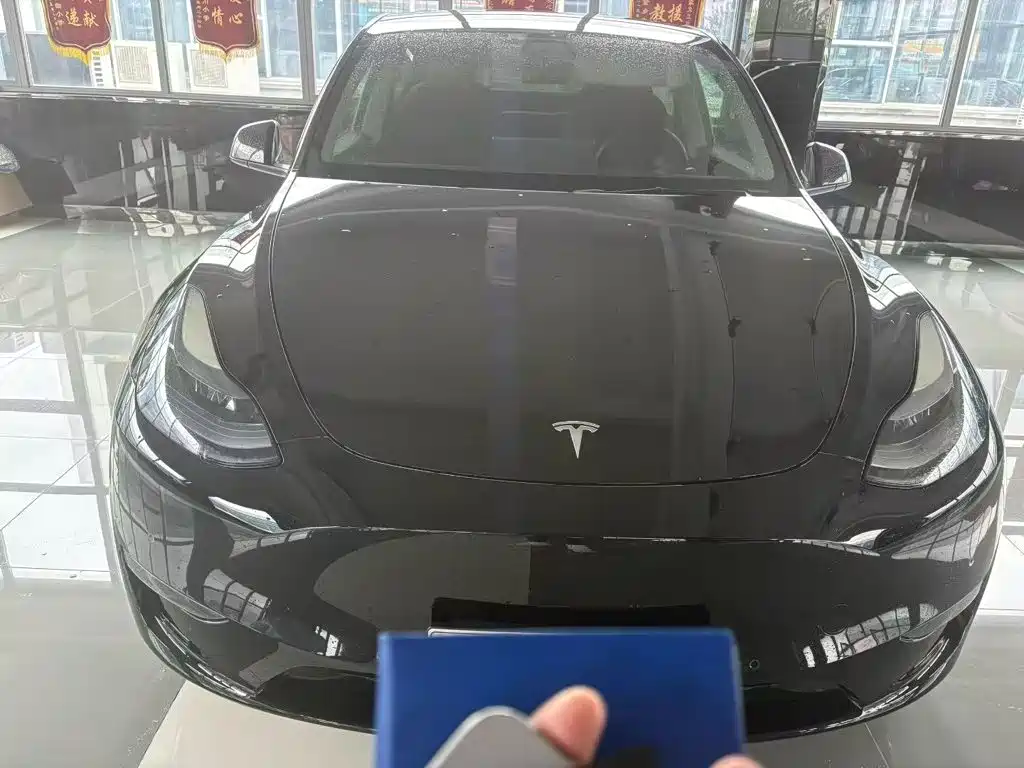 Tesla Model Y — миниатюра 2