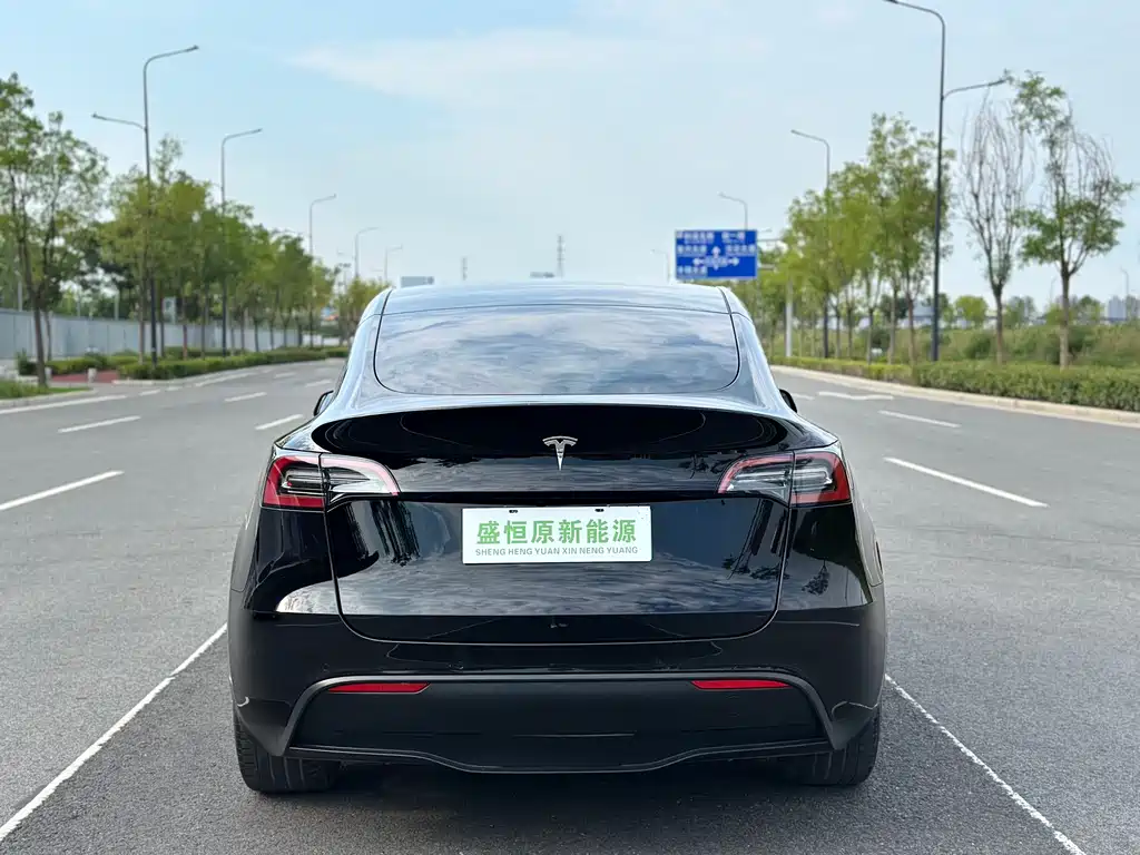 Tesla Model Y — миниатюра 13