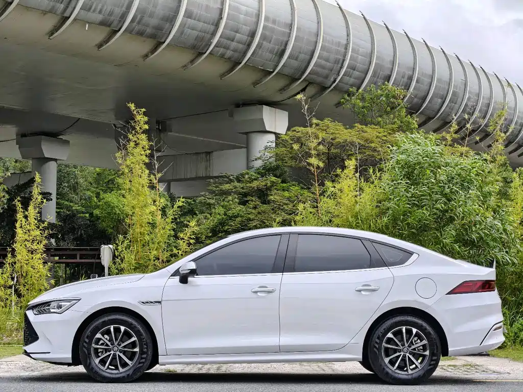 BYD Qin Plus PLUS 2024 DM-i 55KM Lead