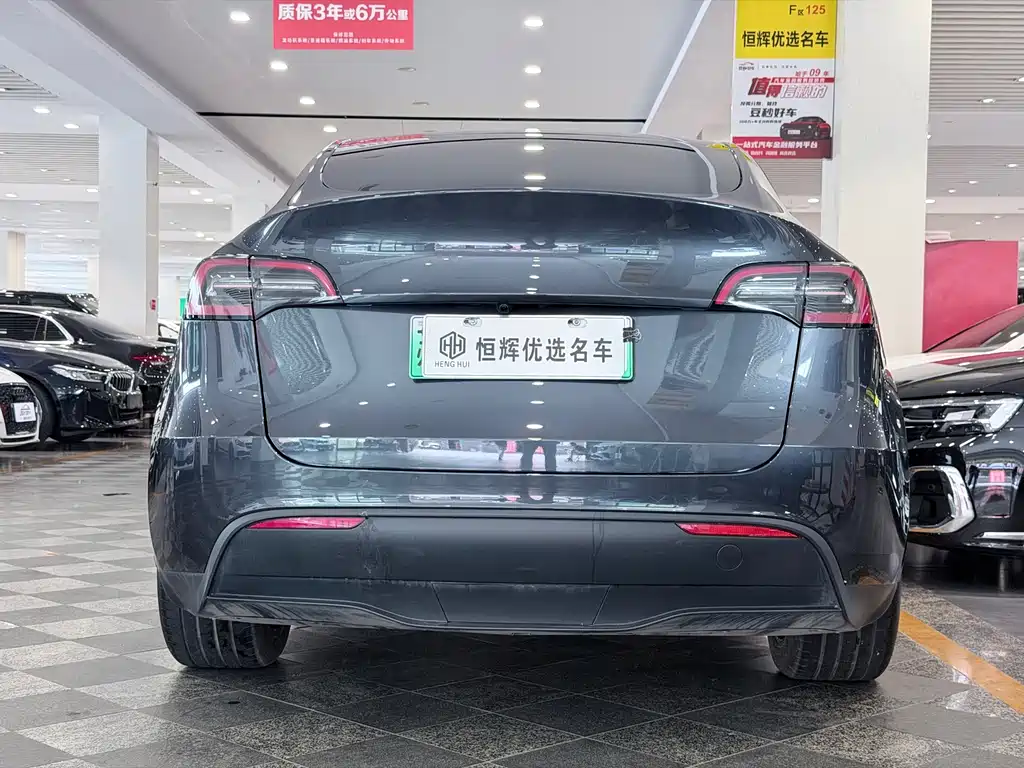 Tesla Model Y — миниатюра 3
