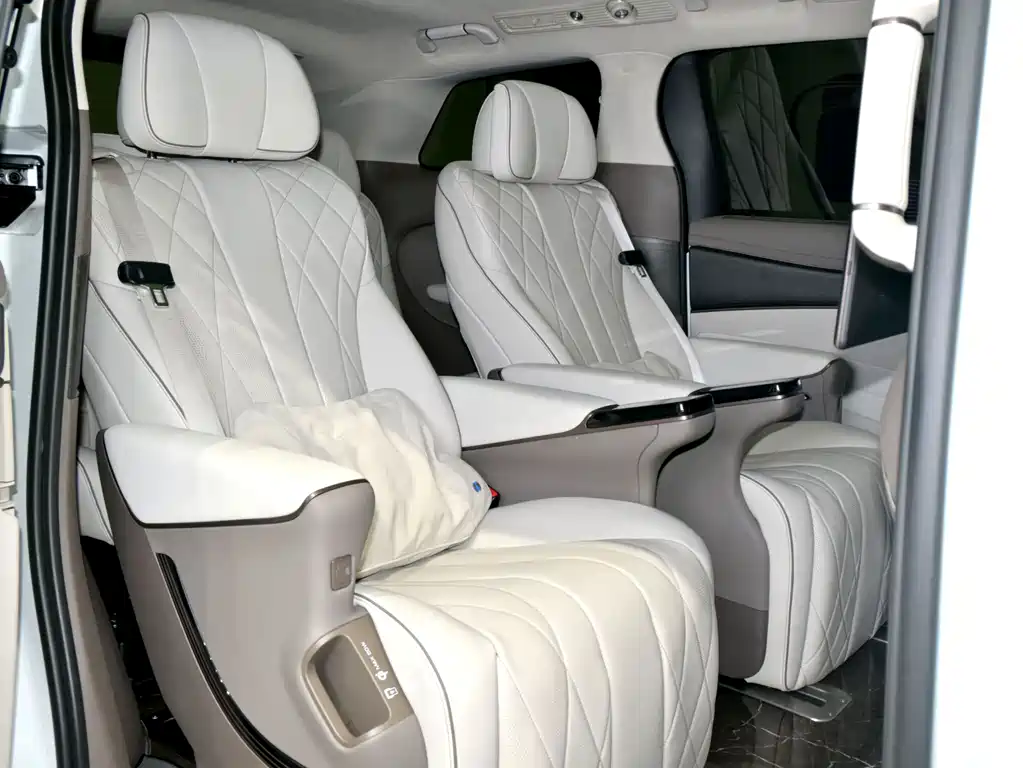 Denza Denza D9 — миниатюра 12