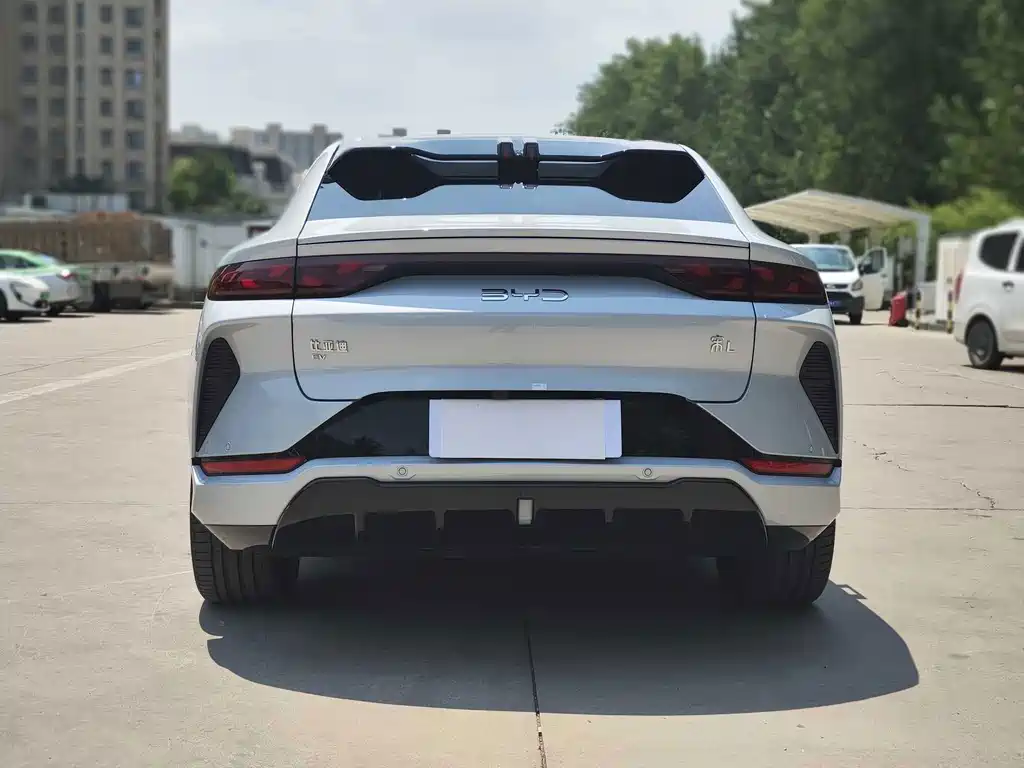 BYD L EV — миниатюра 5